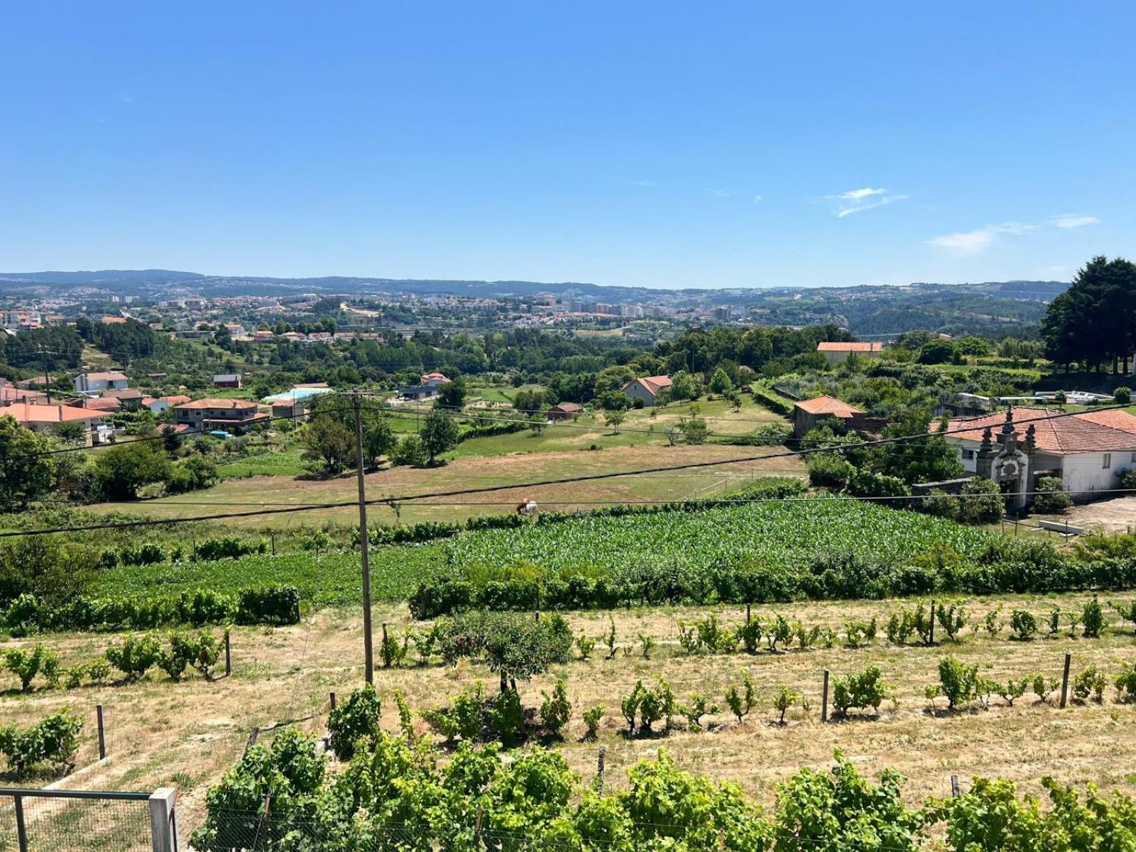Casa Machado Villa Vila Real Eksteriør bilde
